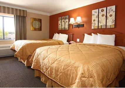 Quality Inn & Suites Atlanta Airport South Колледж Парк Экстерьер фото